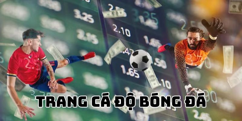 Giới thiệu chi tiết về Trang Cá Độ Bóng Đá